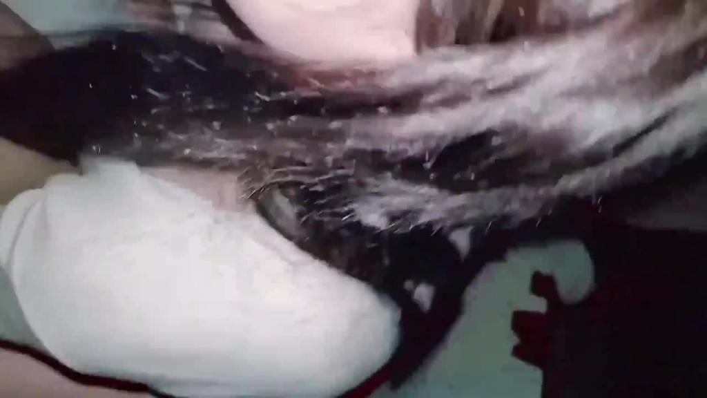 贵宾【反差女表】高质量女神淫乱，道德闺蜜用手机记录女神！ 预览截图 6