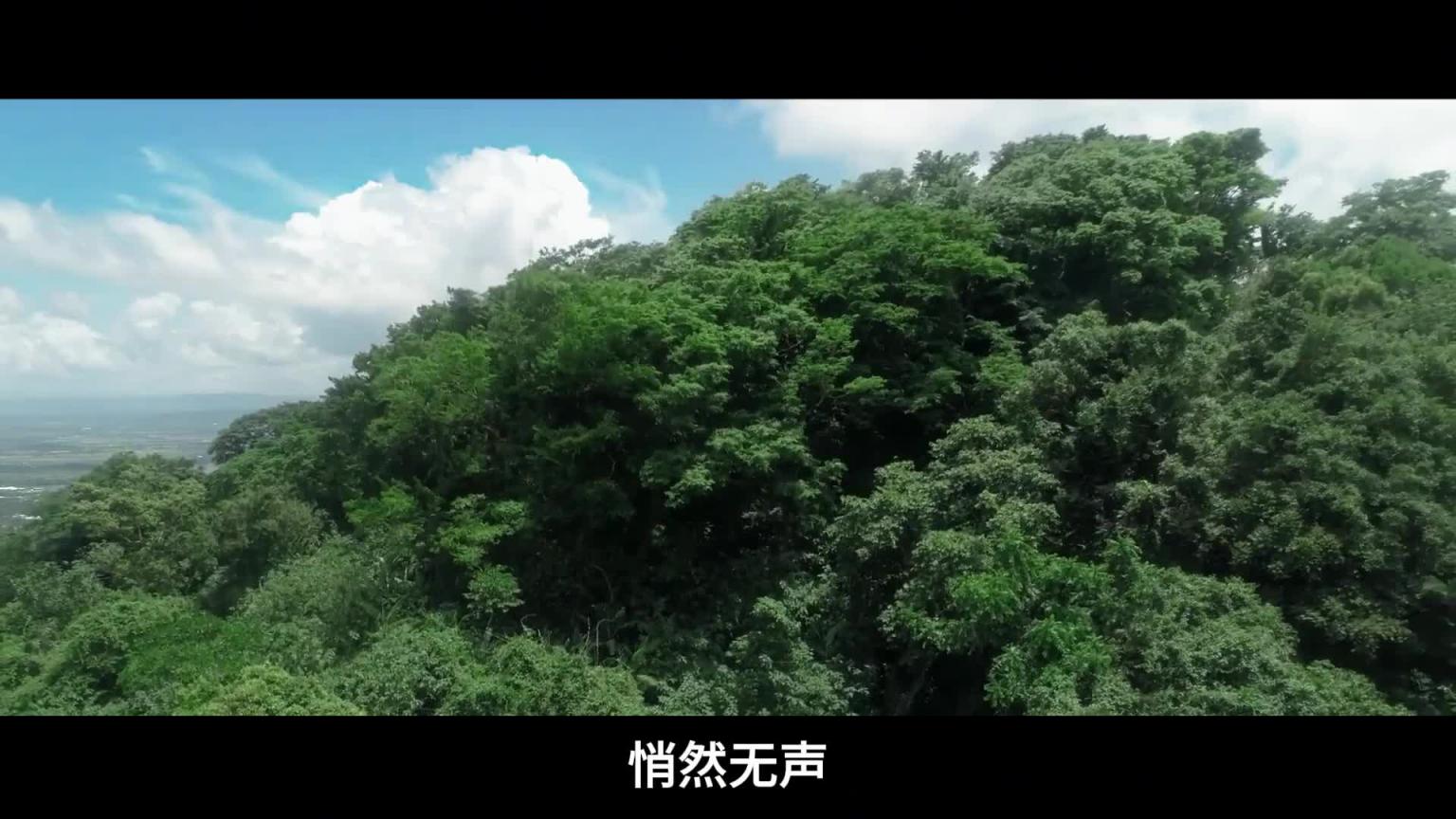原始森林里有这样的仙子,这谁顶得住?这段暂停看了30遍 预览截图 2