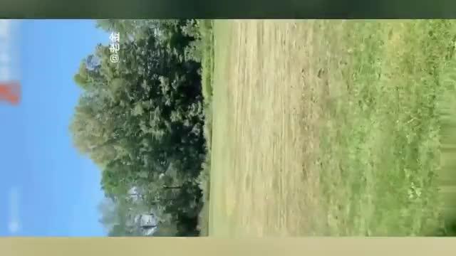 极品美人妻绿帽老公找黑人操熟女老婆黑人的大肉棒阿姨完全承受不住! 预览截图 2