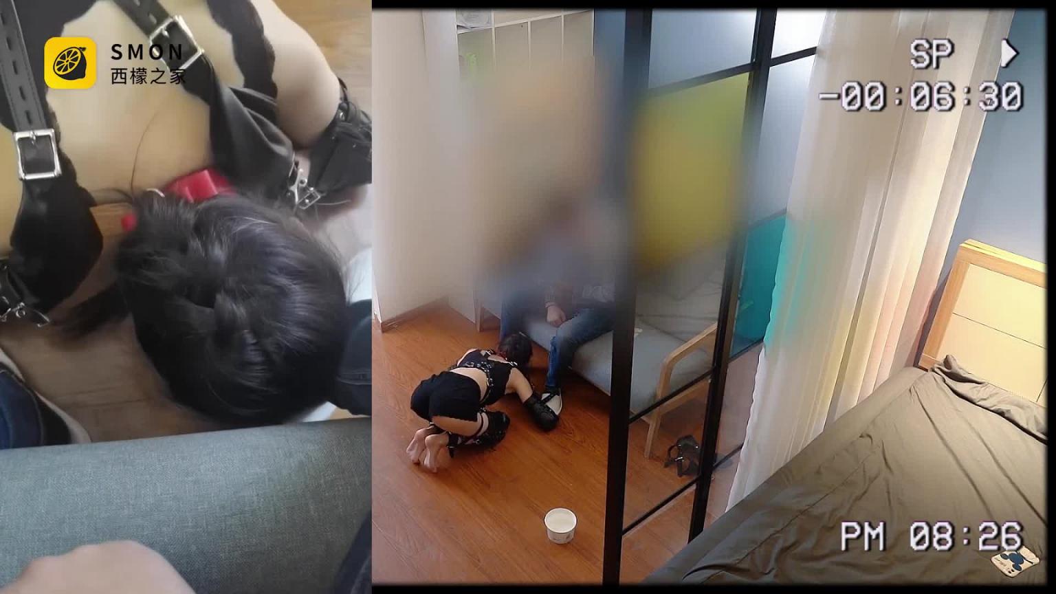 K9狗奴体验分享,做狗狗很累也很幸福 预览截图 7