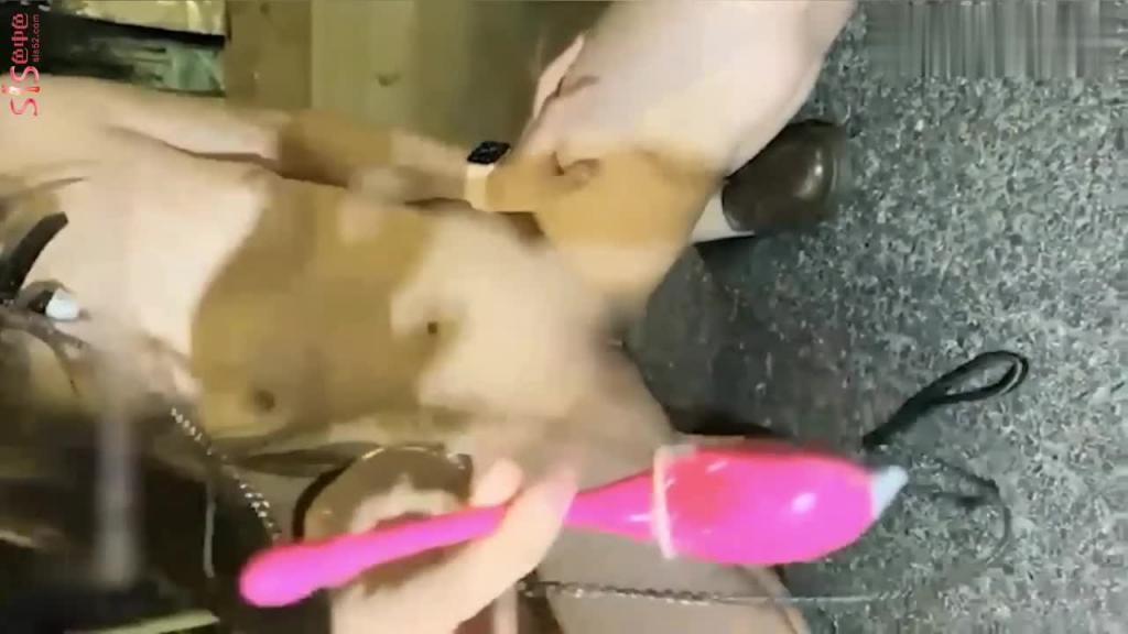 jk萝莉，户外裸奔自舔鸡儿 预览截图 1