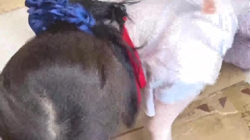 【偷拍女同事裙底跟胸部】身材非常好的女同事领口太低胸部看的清清楚楚这是在勾引我吧 预览截图 6