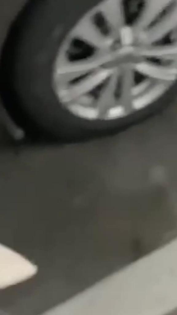 约垂涎已久的小姨子吃饭,故意灌 预览截图 3