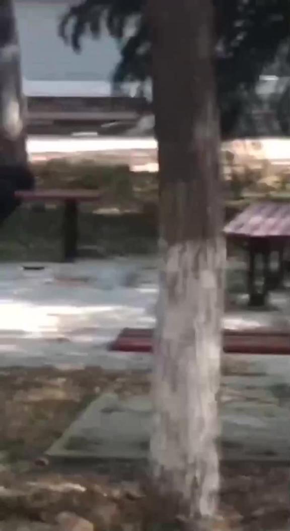 【完整版】山东财经大学曝出高中生混入校内野战 预览截图 1