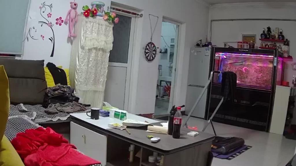 黑客家庭摄像头破解-年轻夫妻客厅生活日常 预览截图 12