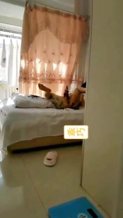 极品反差泄密 魔都上海纹身反差女神SM调教深喉吸精肛交母狗骚到爆 预览截图 9