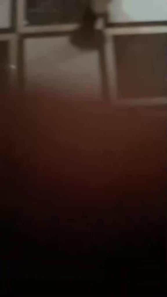 场面淫乱KTV多人!跪地插嘴后入!张开双腿沙发上操,驾车户外,马路上翘屁股吃屌,回酒店4P 预览截图 5