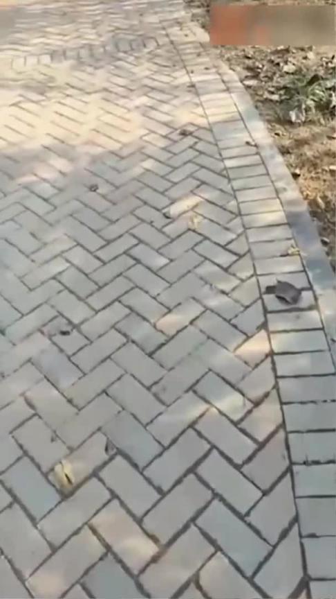 【反差母狗】公园虐操喷水母狗,大哥出门置办年货惨遭绿帽袭击! 预览截图 8