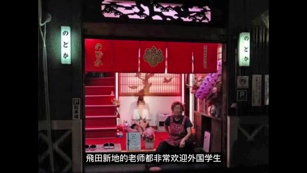 (国语)如何在日本找日语老师补习日语(日本攻略2024) 预览截图 7
