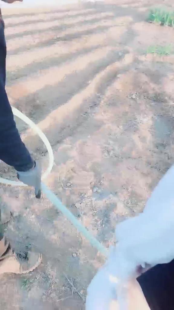 【真实户外勾搭】骚逼勾少妇勾引干农活的大叔,菜地里直接无套开干 预览截图 3