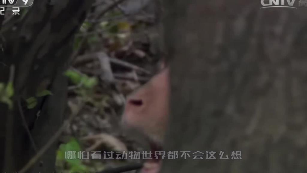 【被绿】被绿之后如何报复他，这5种方法都靠谱嘛？ 预览截图 3