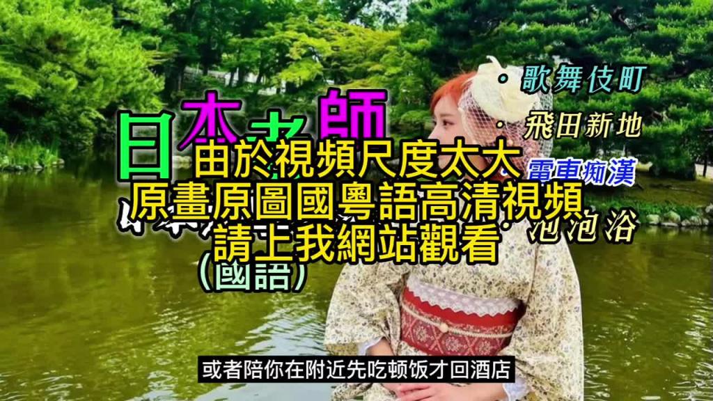 (国语)全网最全,日本攻略 预览截图 5