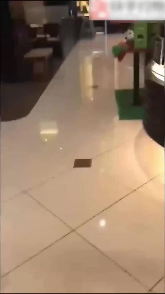 乱伦嫂子-陪嫂子逛商场她竟然没穿内裤，没忍住跑到厕所给她操爽了 预览截图 1