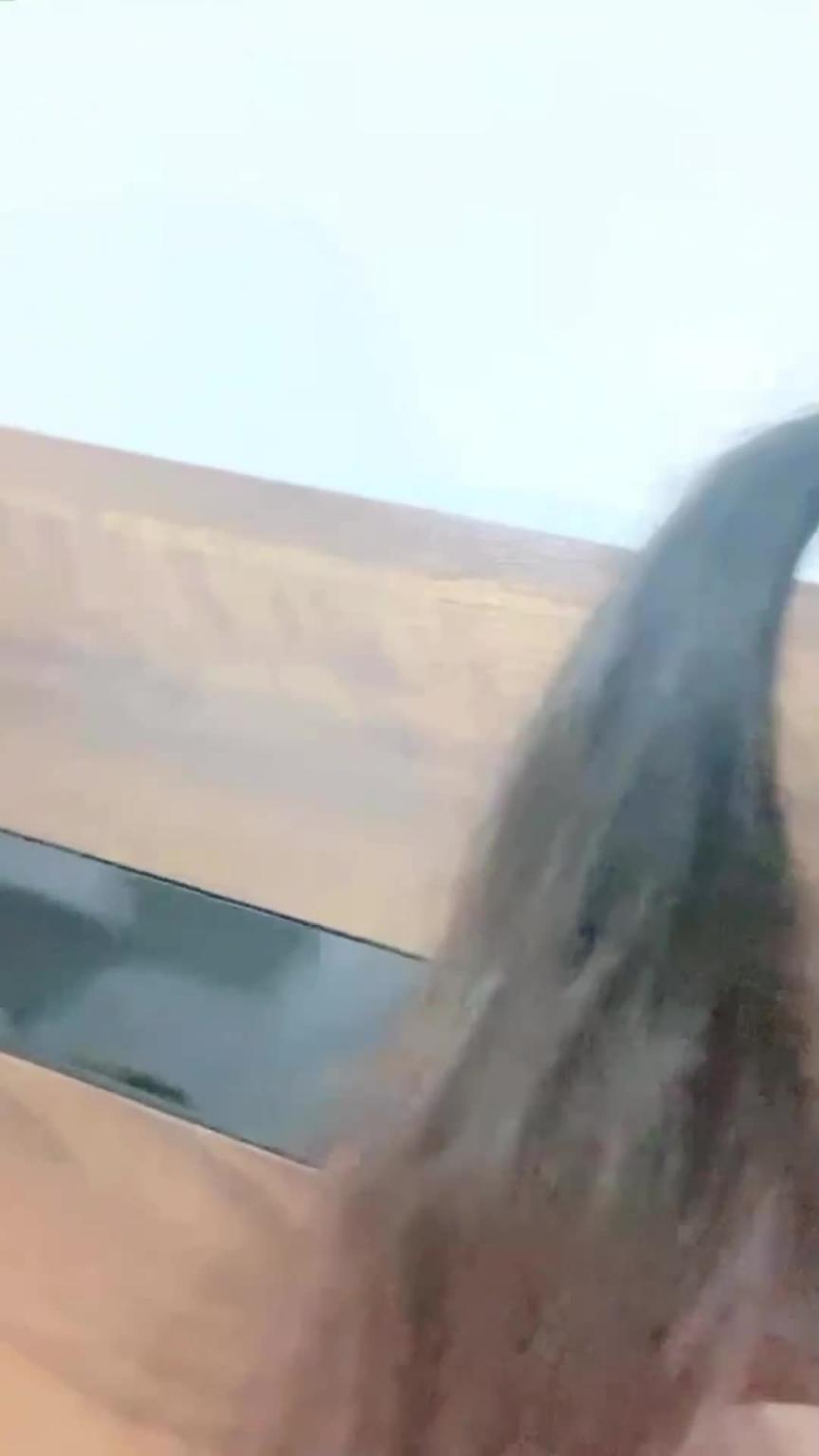 【万人求-二次元高颜值萝莉】白色内裤修长美腿,看了鸡儿硬 预览截图 7