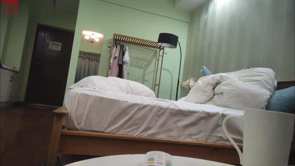 【专攻良家熟女人妻兼职】沙发上抚摸调情，操的啊啊大叫 预览截图 12