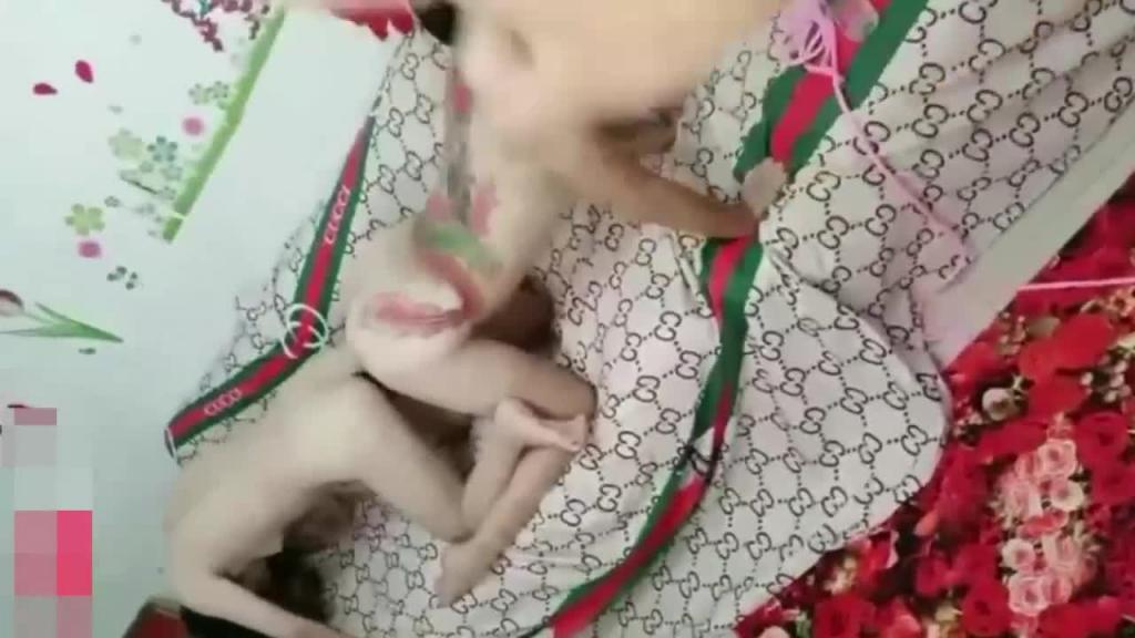 女婿和老丈人玩弄母女花_大茄子插逼_爆菊_母女互插_4人群p真疯狂 预览截图 6