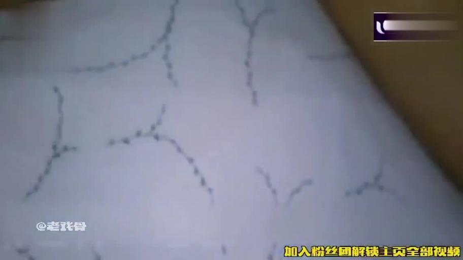 【真实父女乱伦】西安兽父诱骗插入内射亲女儿...对白清晰 预览截图 12