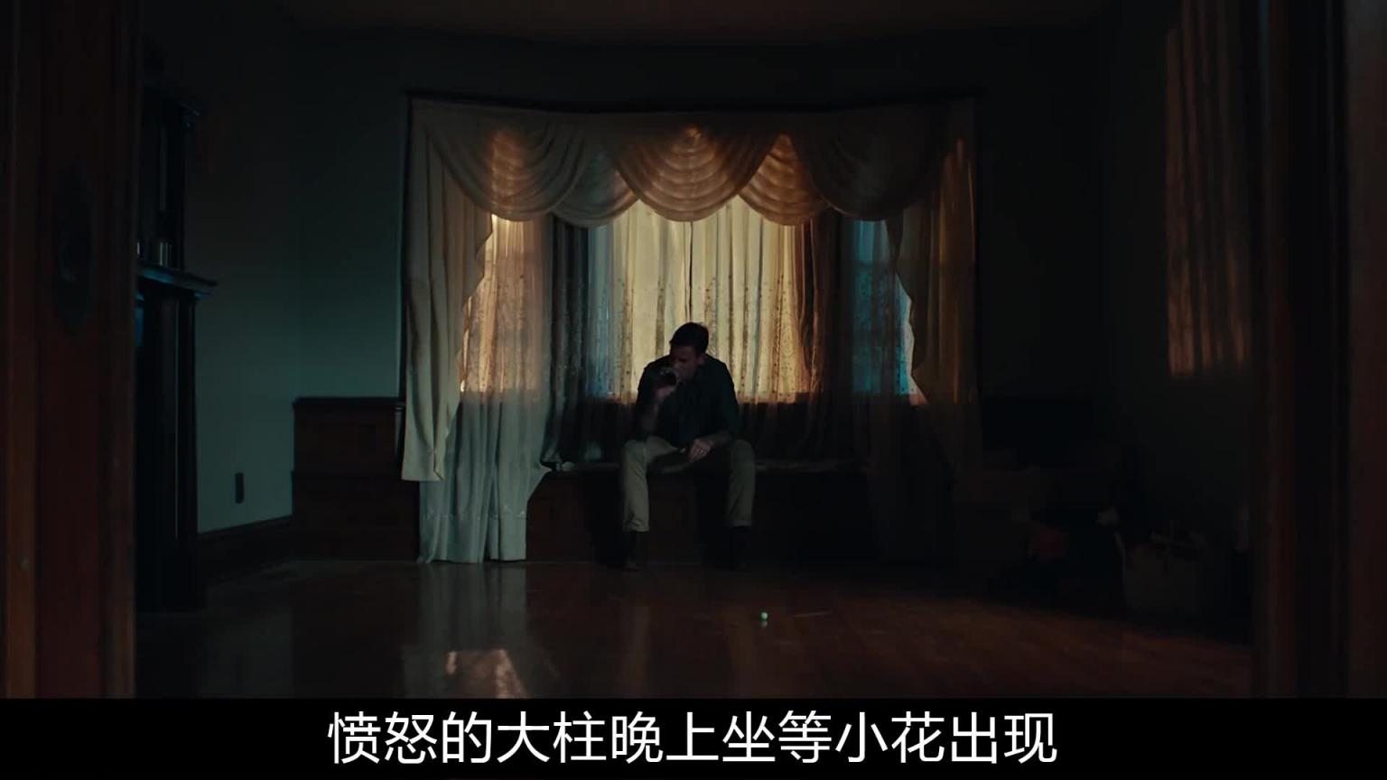 一栋别墅里,每晚都有一个女孩上门,男主人身体越来越虚 预览截图 10