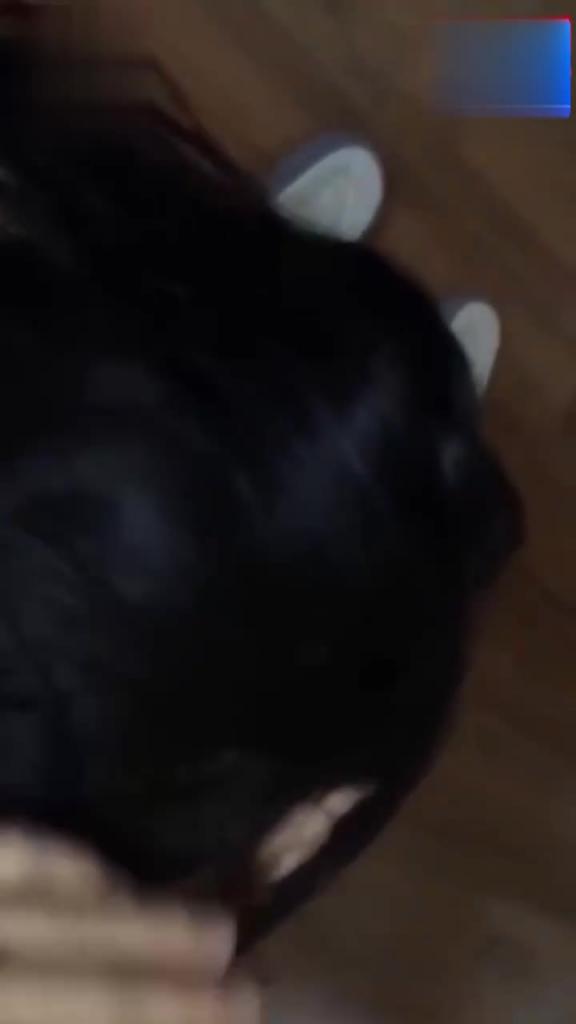 【兄妹】灌醉大一妹妹乱伦内射时候后悔莫及 预览截图 11