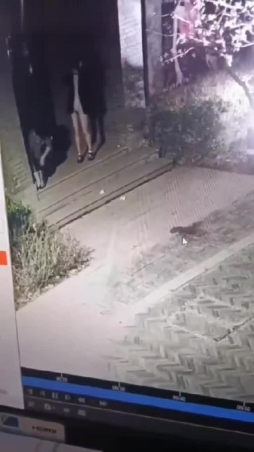 抖音执搜!兰州老街大瓜!兰州老街情侣8分46秒视频 女友身材火辣主动热情 扑上去直接骑乘榨精 太刺激了 预览截图 12