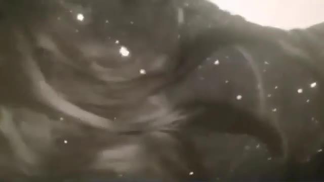 乱伦家庭 完整版媳妇怀孕待产 女婿操丈母娘 预览截图 5