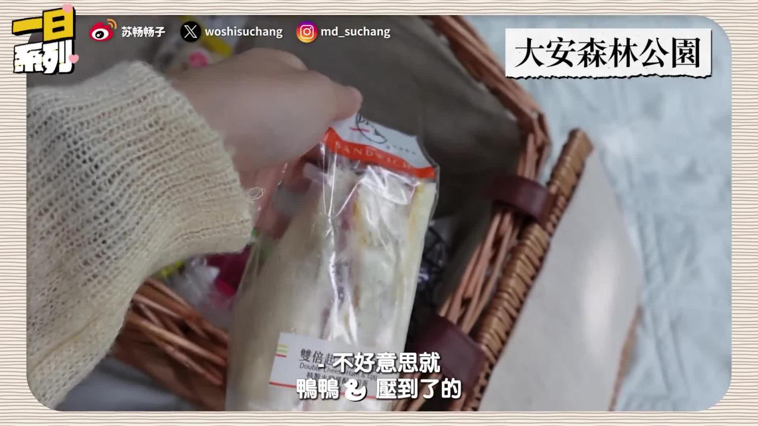 【重制版本】帮粉丝洗残费澡，比基尼太性感不小心ㄅ起|在公园树下深度蕉谈，粉丝当起谜片导演【我是苏畅SuChang】 预览截图 3