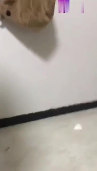 真实爆料,网爆逼良为娼现场实拍流出 预览截图 6