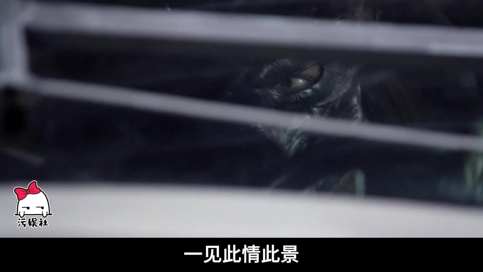 22万罪犯无人看管,混乱画面不敢想象,硬核B级片! 预览截图 12