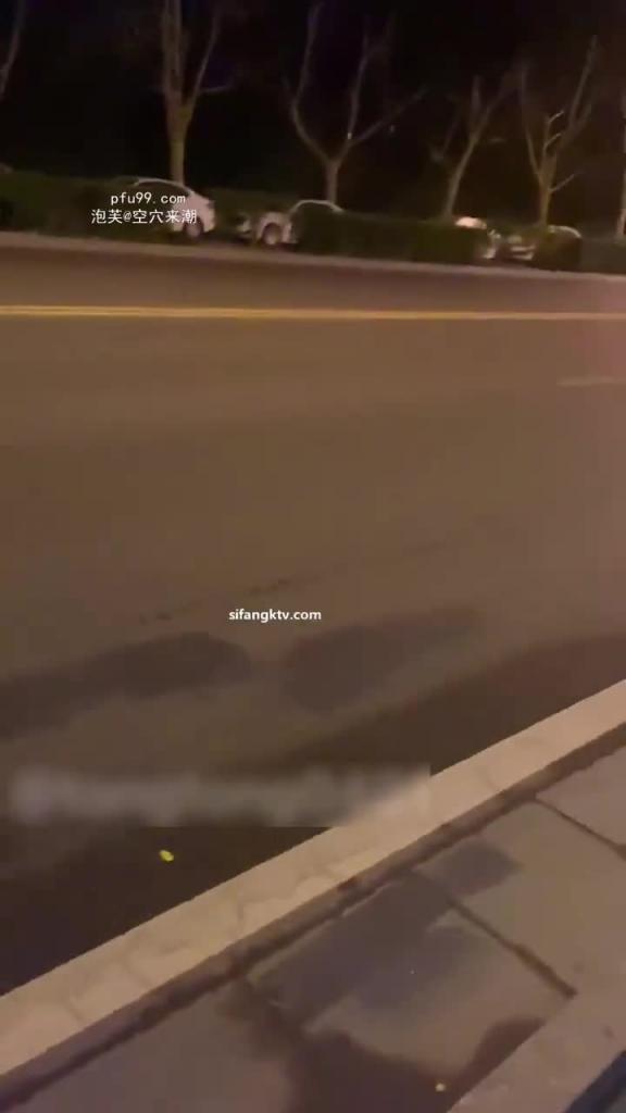 【反差骚婊】骚母狗大马路上车来车往玩露出 路上司机看的眼睛都直了惨遭连环追尾 预览截图 7