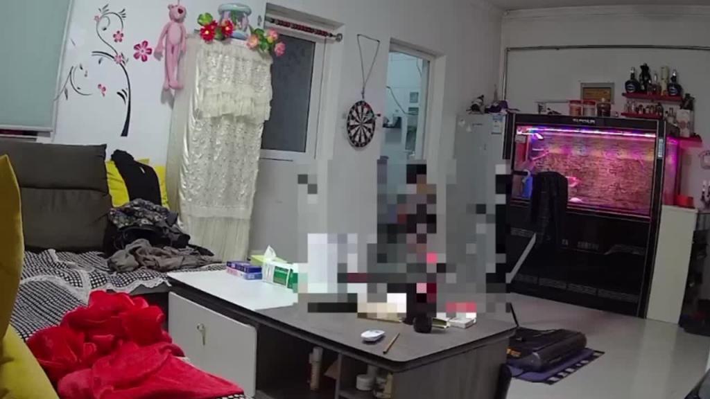 黑客家庭摄像头破解-年轻夫妻客厅生活日常 预览截图 10