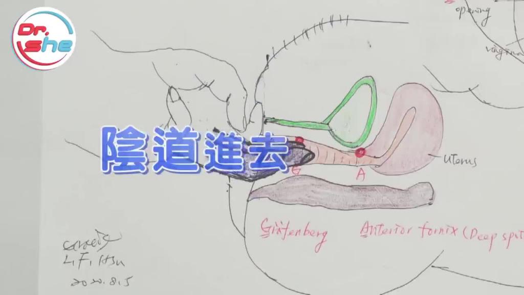 #DrShe许蓝方#G点到底在哪里女生四大高潮点一次教会你!这些就是男人一生都在追寻的点! 预览截图 2
