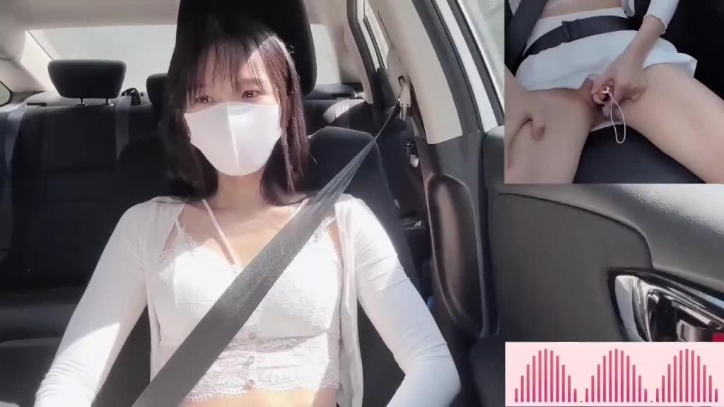 户外挑战开车过程玩跳蛋x车震 预览截图 1
