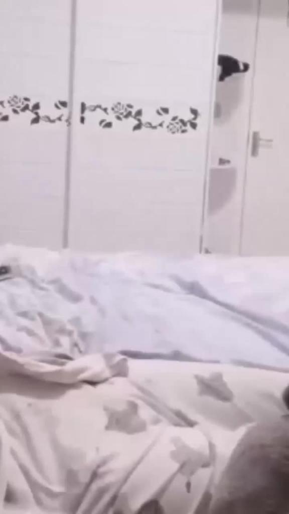妹妹躺在床上打王者突然闯入强上妹妹 预览截图 8