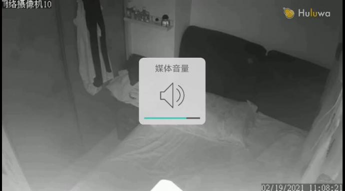网络摄像头破解,家庭老头乱伦儿媳事件! 预览截图 2