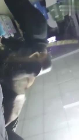 让人妻强行摸鸡吧【高清街射】翻车了!翻车被抓小丁丁!演唱会爆顶学妹-射到小翘臀 预览截图 5