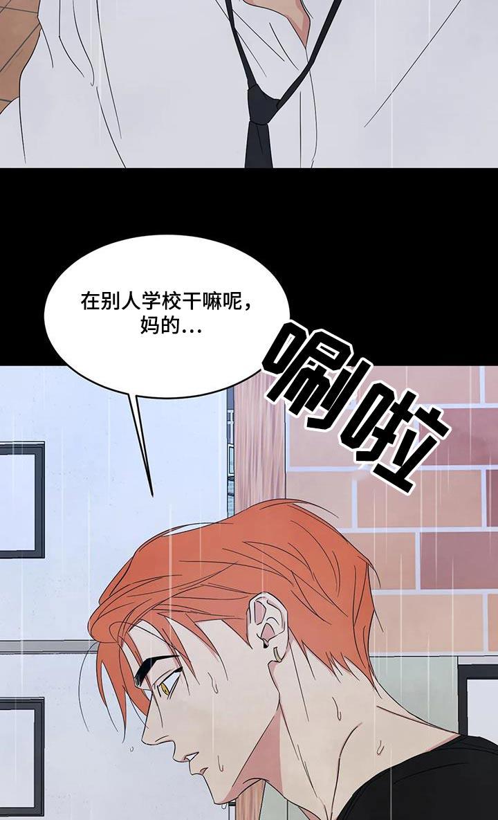 第175话 【第二季】打架 第 3 页