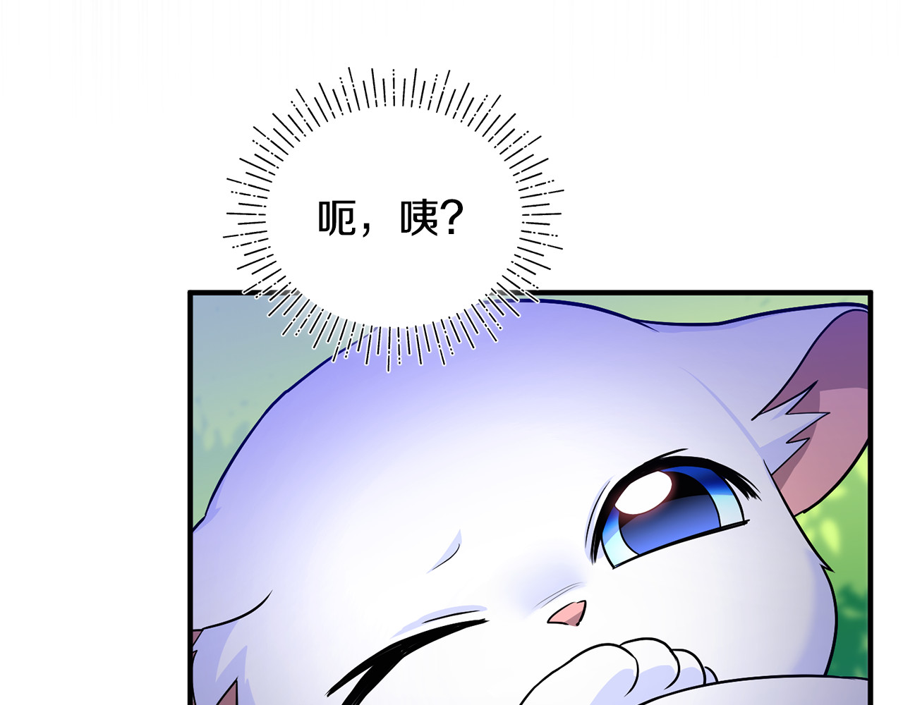 第7话 你是我唯一的猫 第 166 页