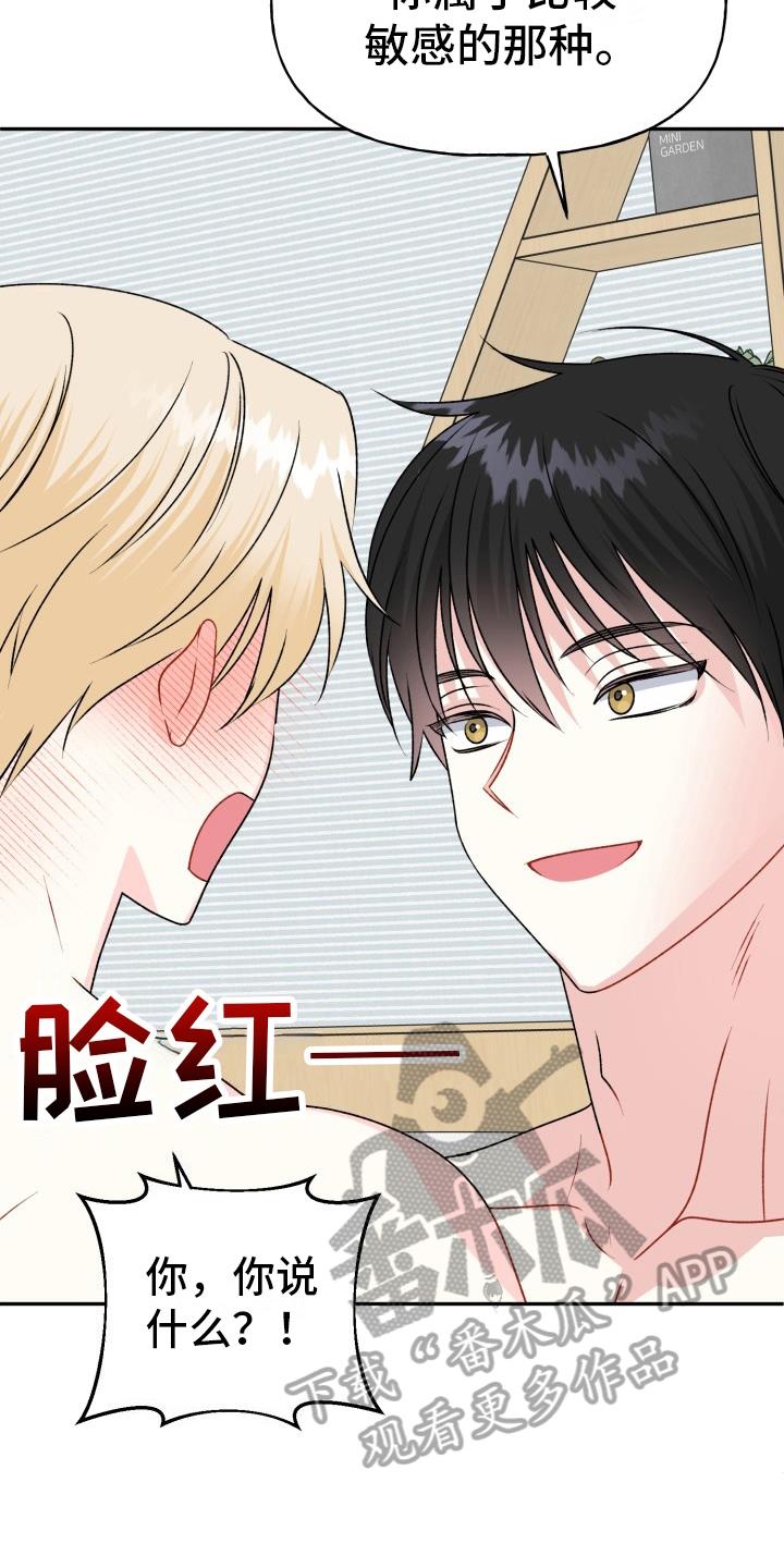 第14话 特别 第 17 页