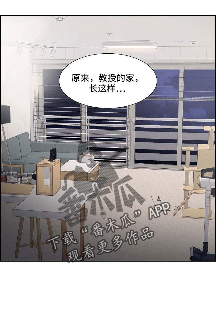 第62话 吓一跳 第 19 页