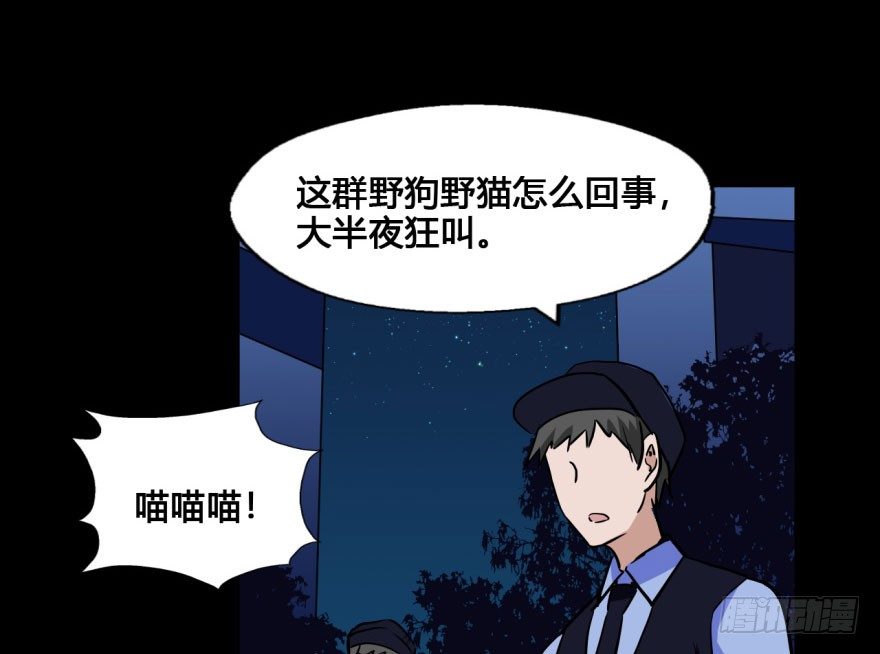 37 任务no.5另一个殷柴（三 第 16 页