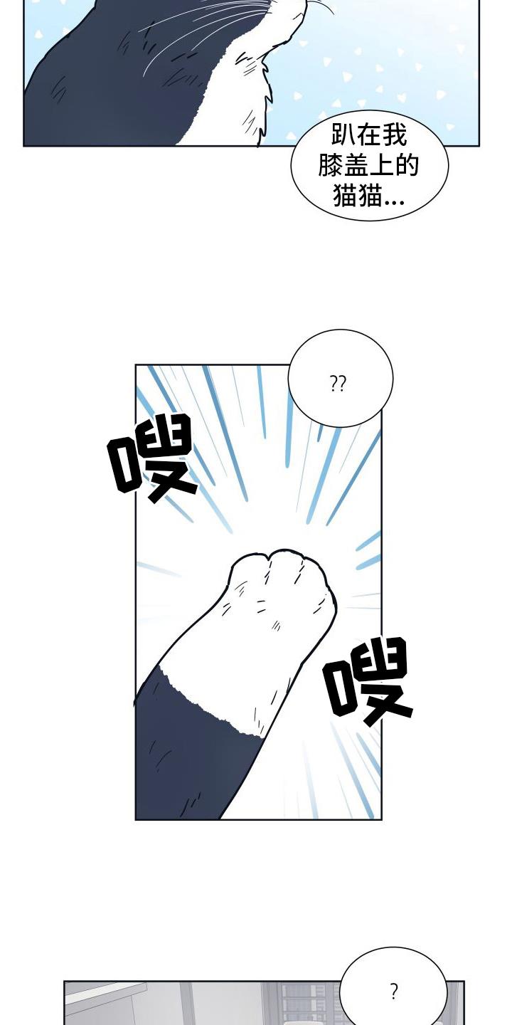 第6话 很像 第 6 页