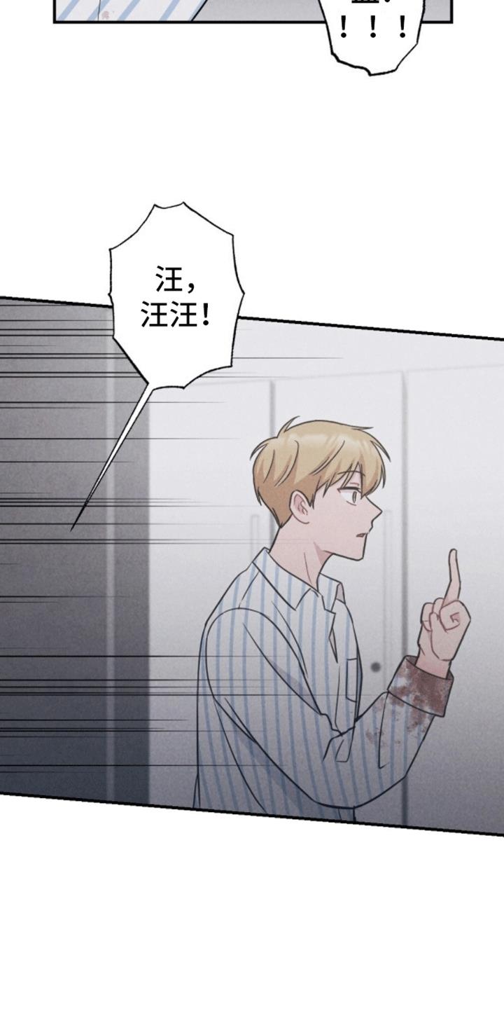 第20话 重新被抓 第 14 页