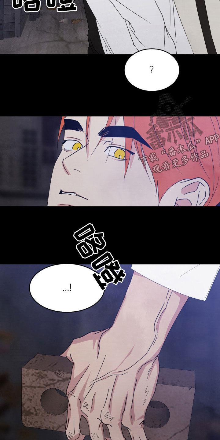第251话 【第二季】我相信你 第 17 页
