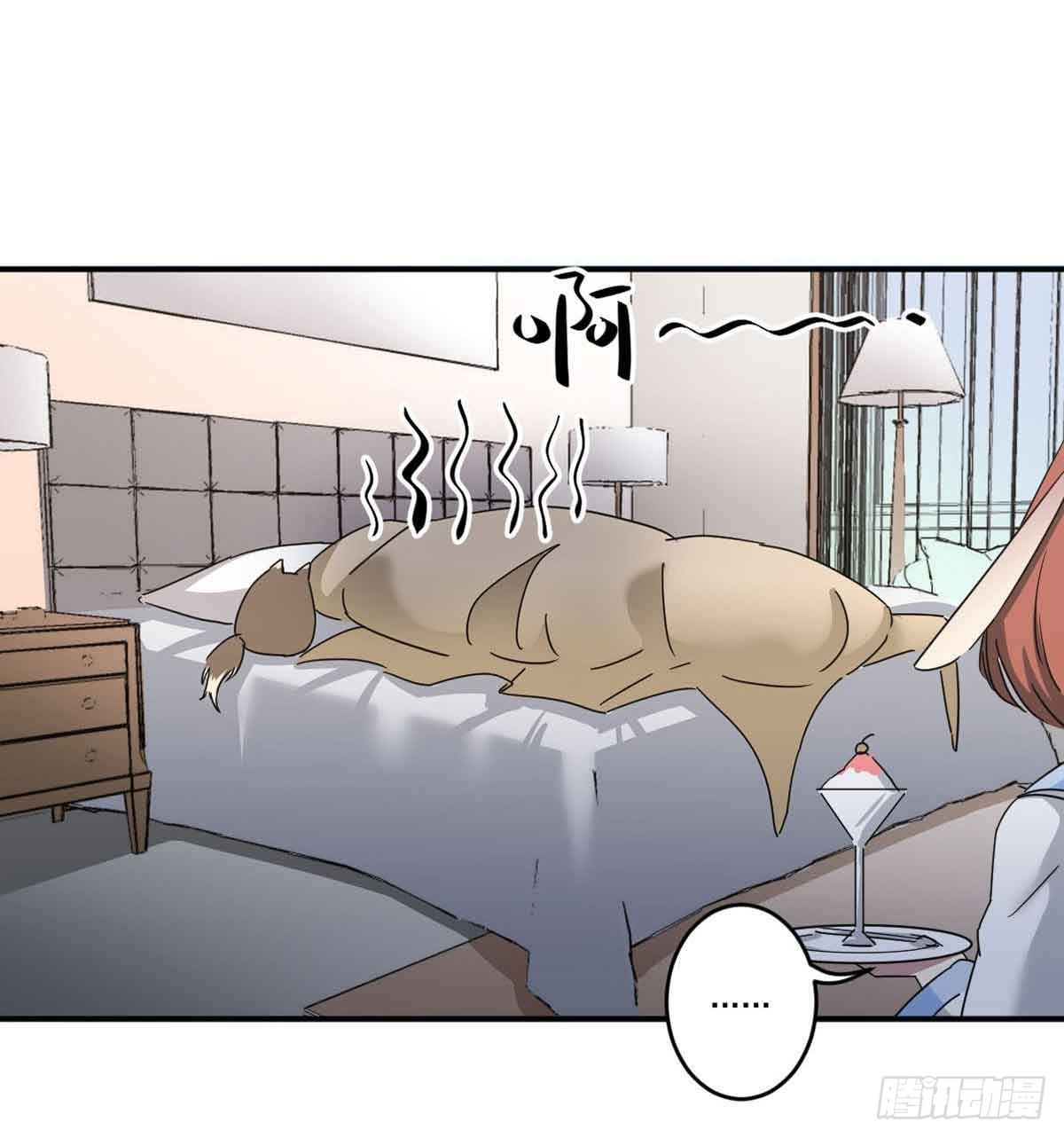 机会 第 5 页