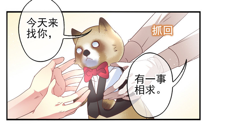 第57话：镜界面局04 第 10 页