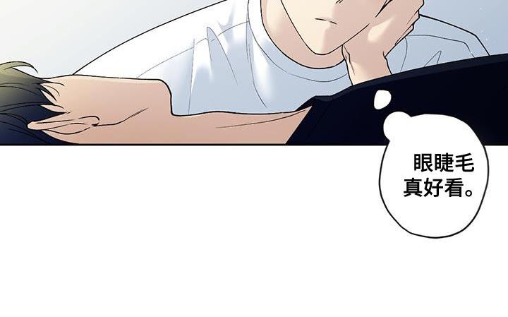 第39话 必须尽快离开 第 11 页