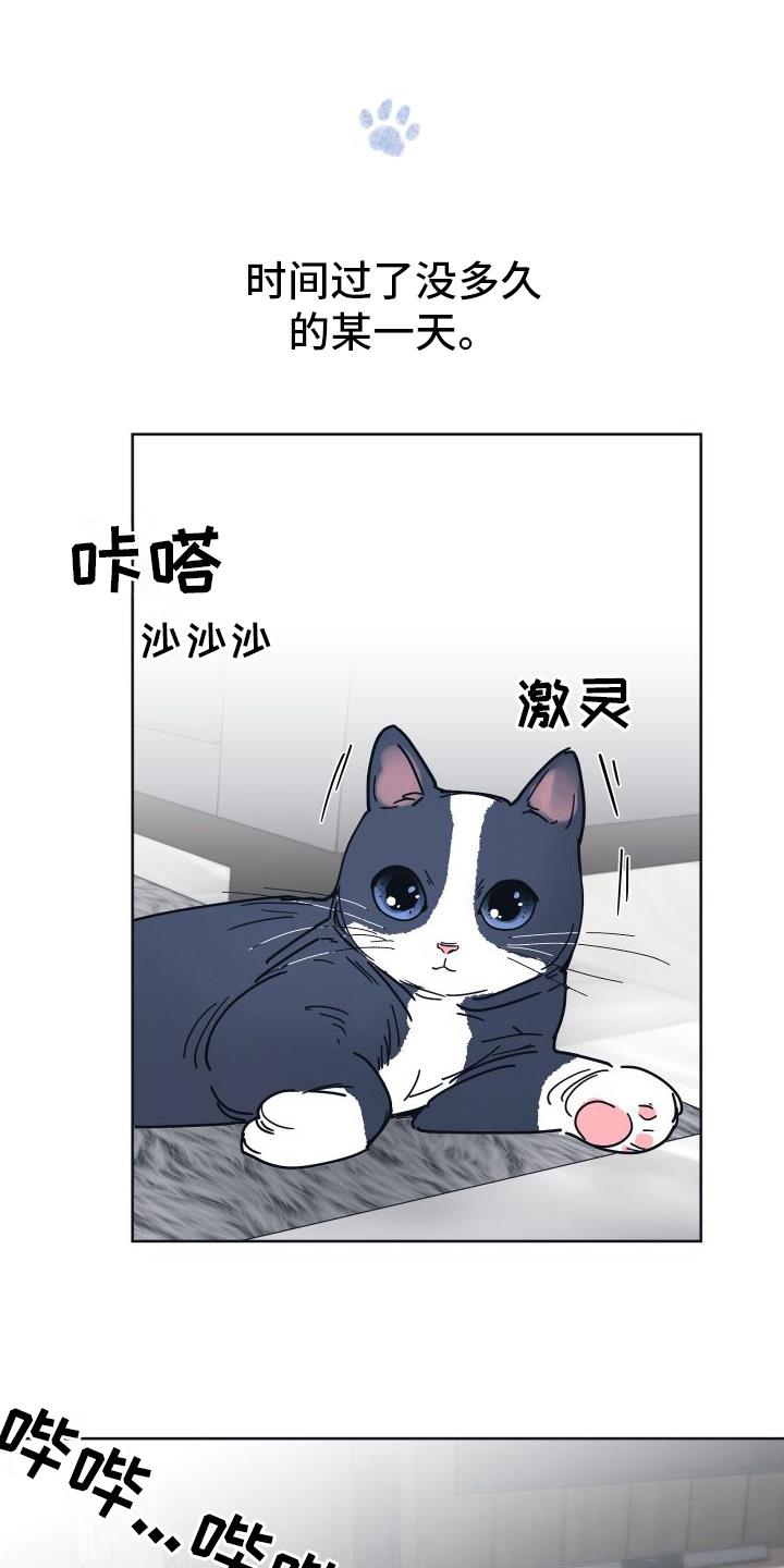 第9话 坠入爱河【完结】 第 14 页