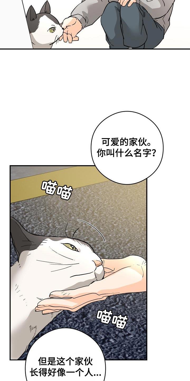 第96话 猫咪 第 18 页