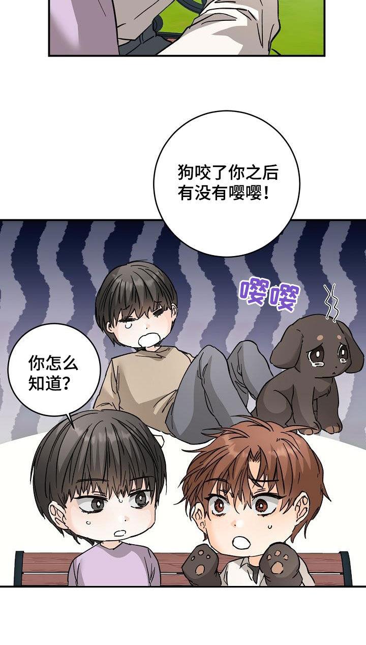 第112话 一起养狗 第 13 页