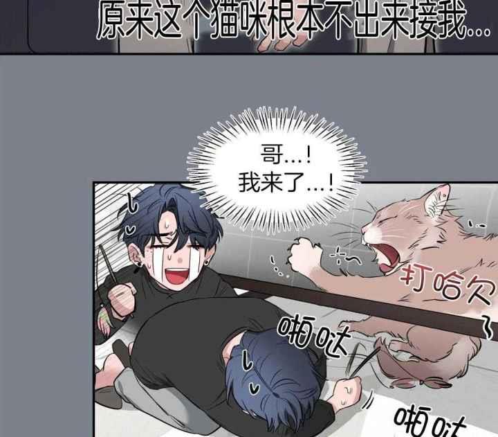 第151话 寂寞的喵咪 第 35 页